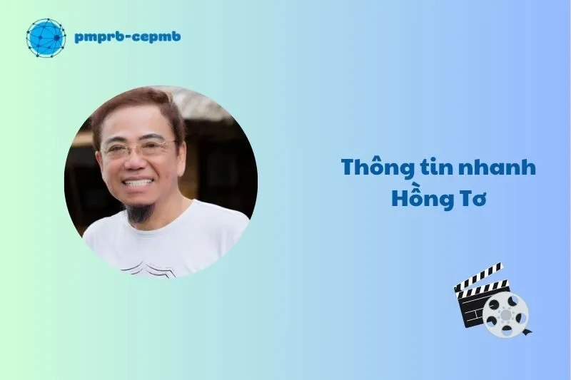 Thông tin nhanh Hồng Tơ